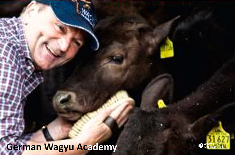 Photo of Sepp Kratz with a Wagyu steer on German Wagyu Academy at Munich